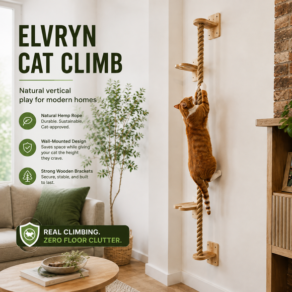 Feature product image