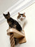 Real hemp texture cats love to grip and climb